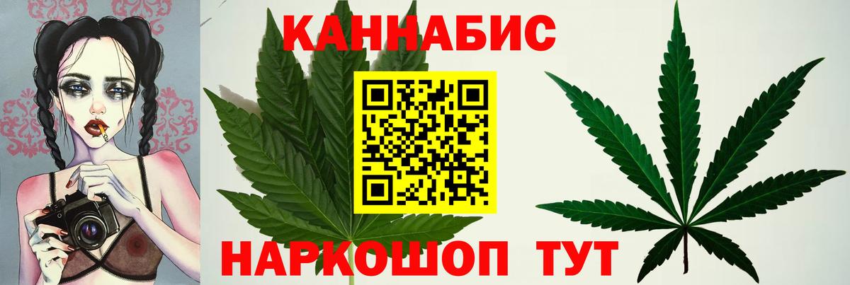 Самара  Бошки марихуана план  Вход с VPN  Шишки марихуана White Widow  Марихуана план 